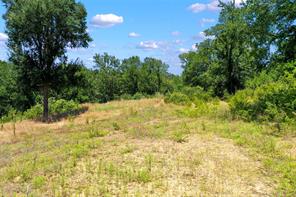 1750 S Fm 372 - Photo 10