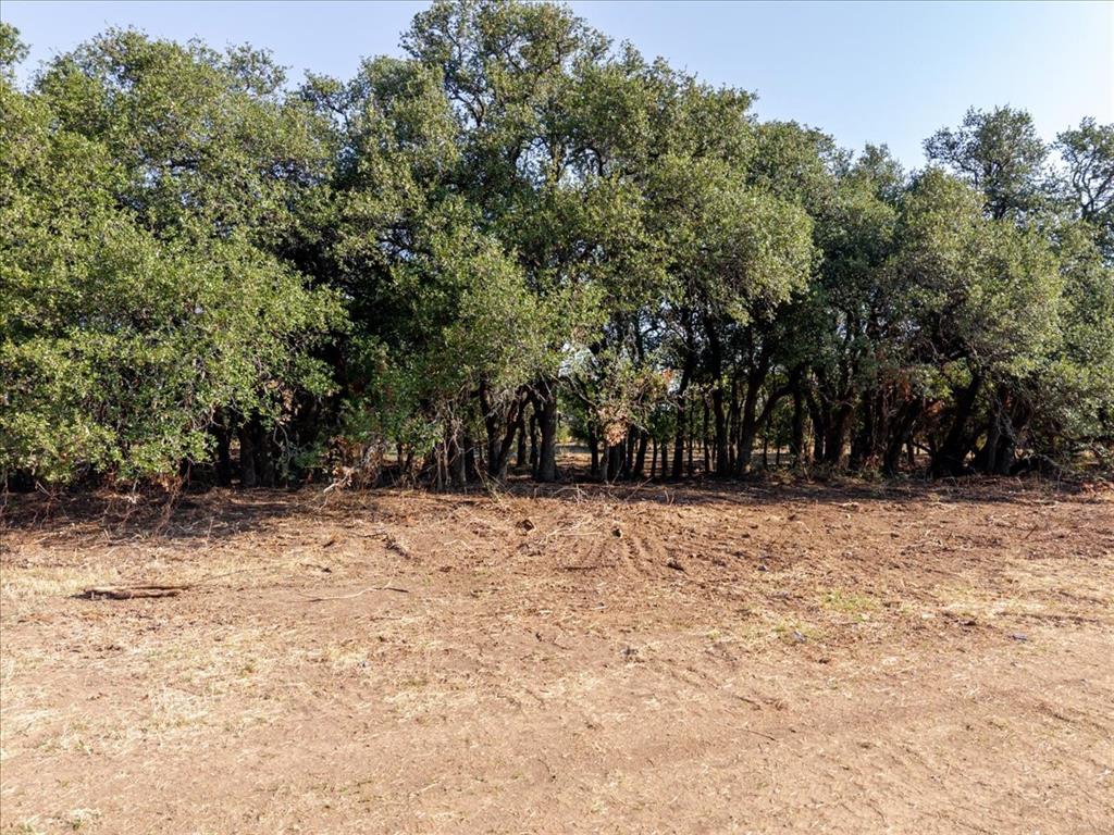 2768 Live Oak Road - Photo 20