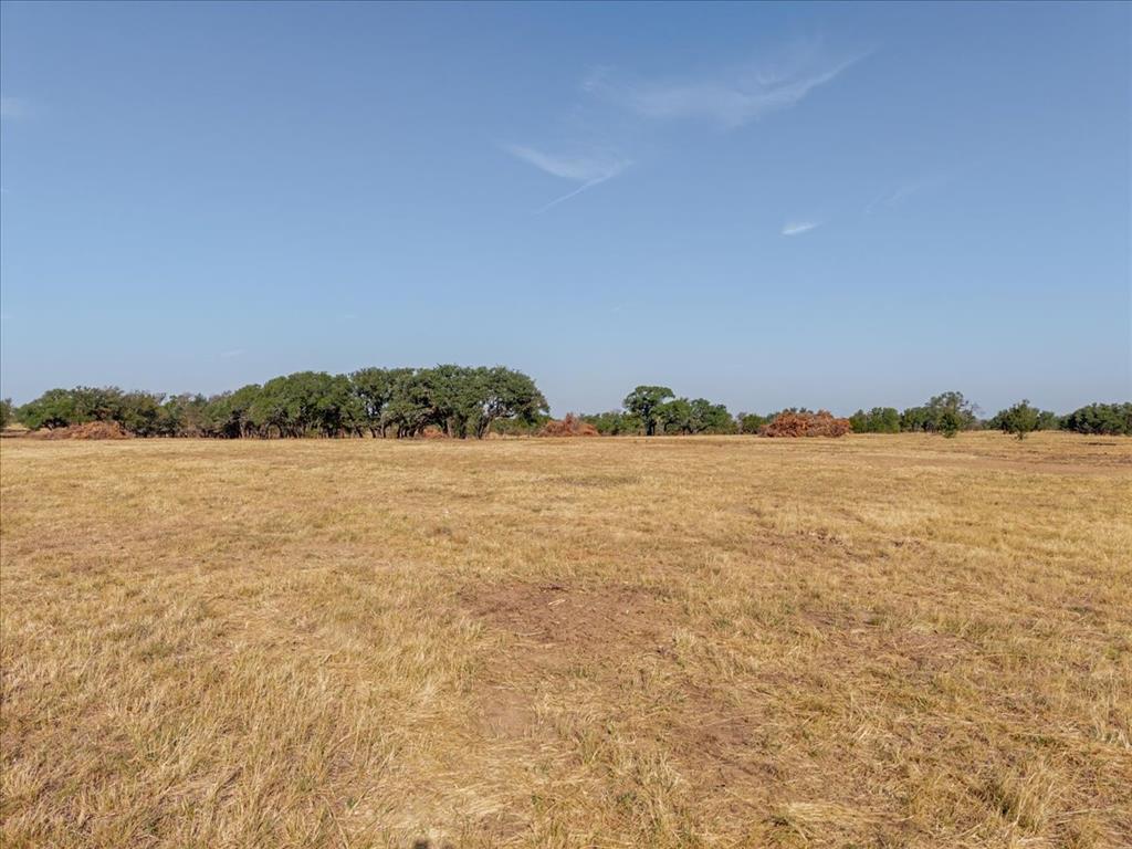2768 Live Oak Road - Photo 21