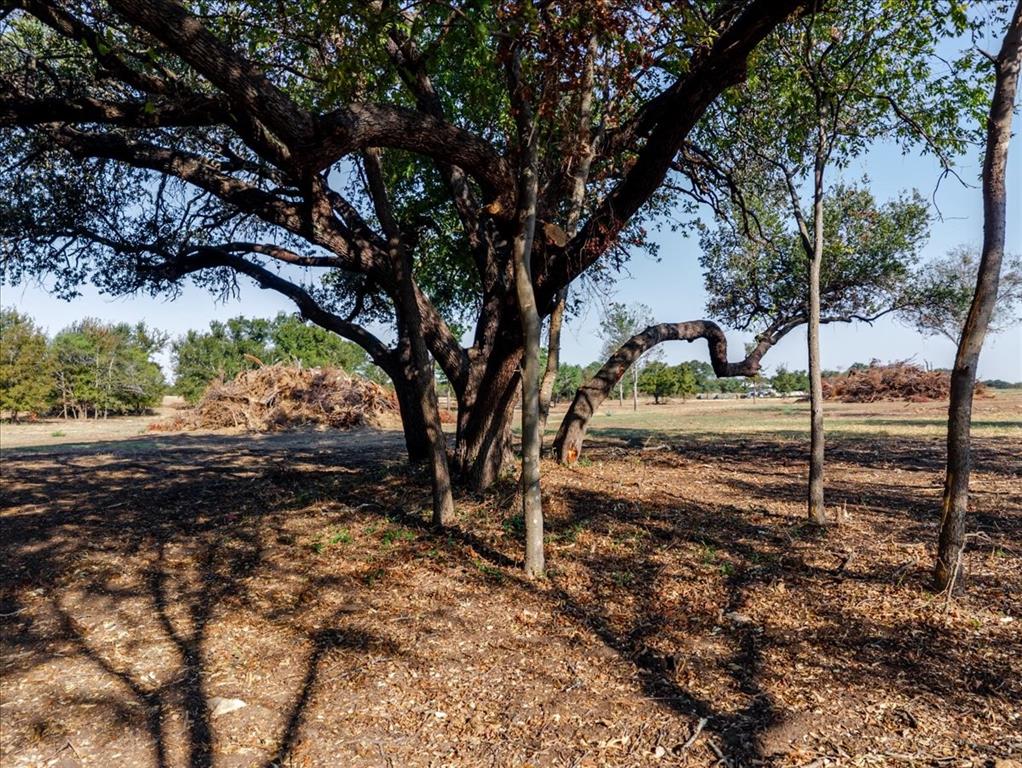 2768 Live Oak Road - Photo 3