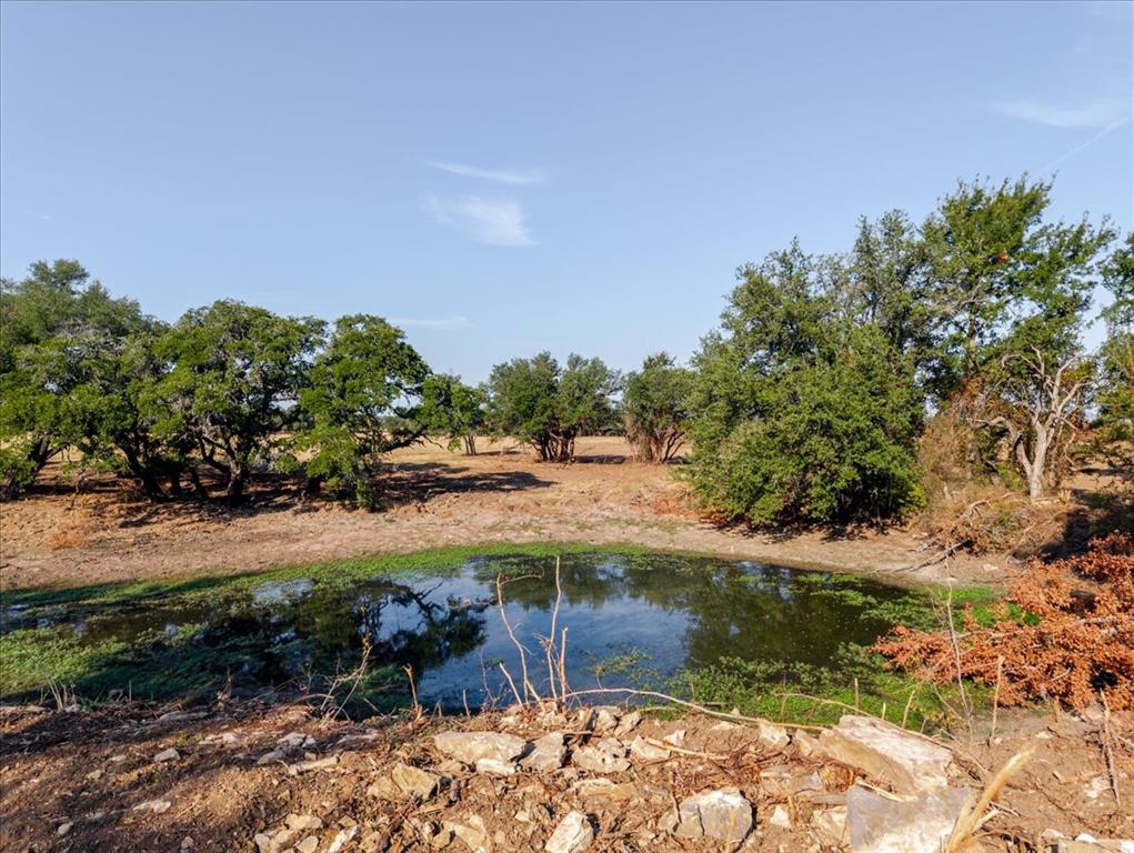 2768 Live Oak Road - Photo 4