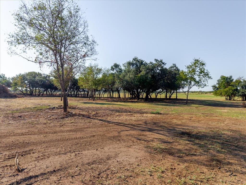 2768 Live Oak Road - Photo 5