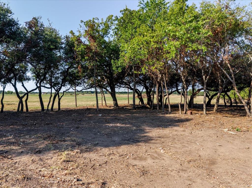2768 Live Oak Road - Photo 6