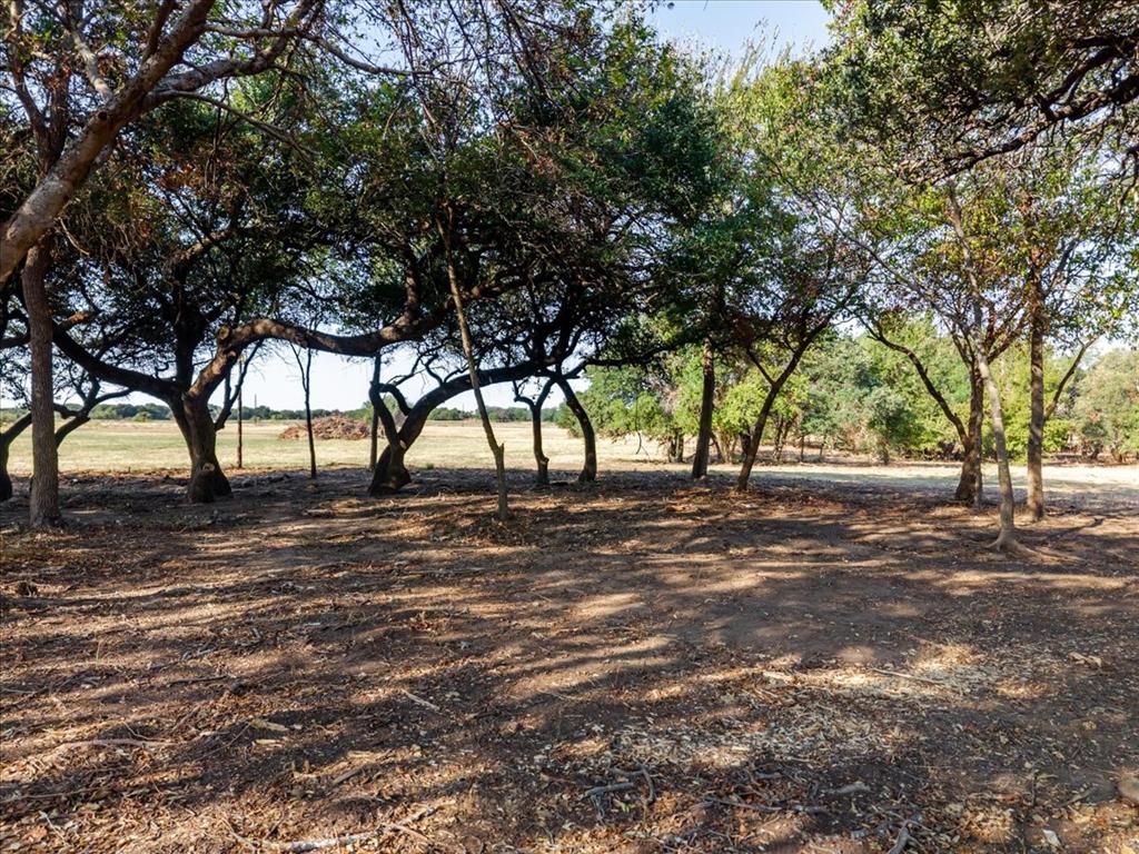 2768 Live Oak Road - Photo 8