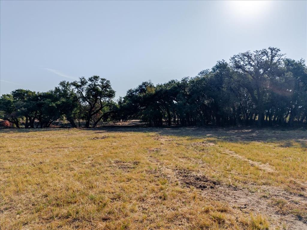 2768 Live Oak Road - Photo 9
