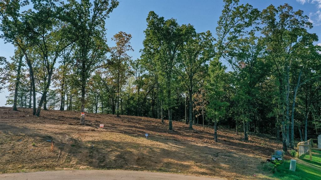 19470 CEDARPARK Place - Photo 2