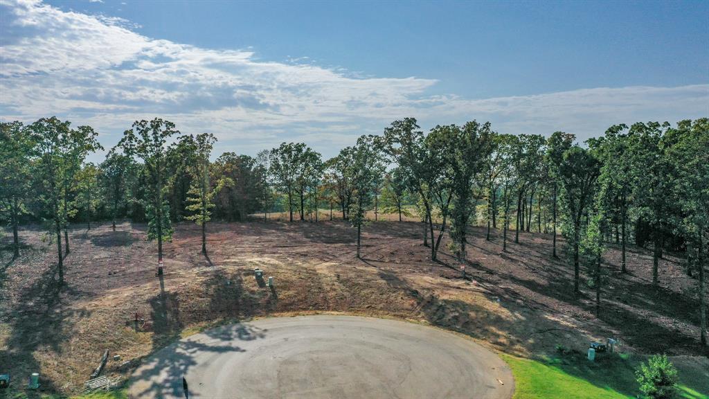 19478 CEDARPARK Place - Photo 7