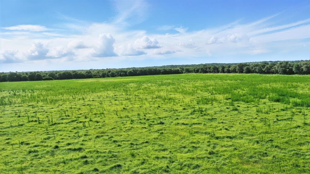 246 County Road 560 - Photo 39