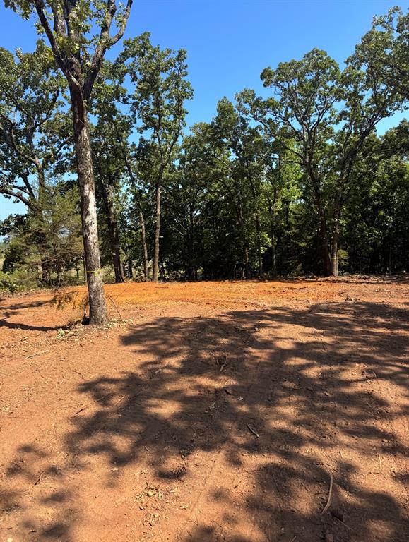 TBD CEDARPARK Place - Photo 14