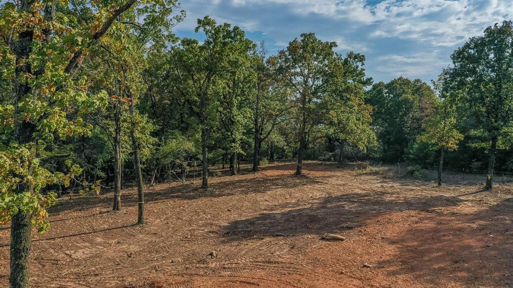 TBD CEDARPARK Place - Photo 15