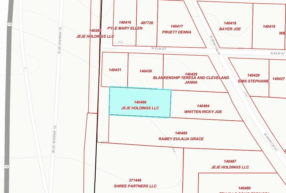 0.41 Acres W Morton Street - Photo 1