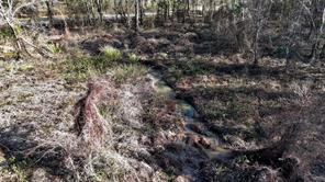 TBD County Road 3801 - Photo 11