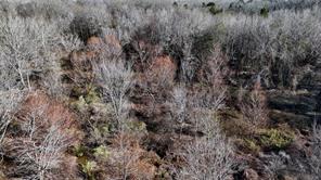 TBD County Road 3801 - Photo 5