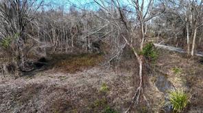TBD County Road 3801 - Photo 6