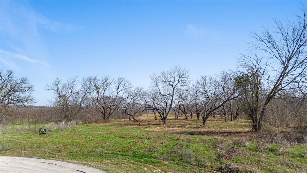 8424 Edgewater Drive - Photo 8