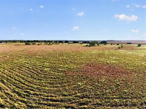 TBD Prairie View Road - Photo 14