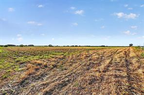 TBD Prairie View Road - Photo 24