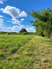 441 County Rd 2418 - Photo 5