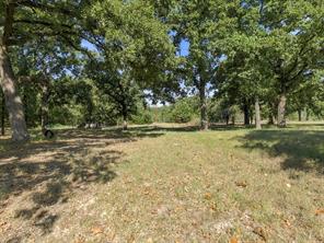 1525 Magnolia Lane - Photo 6