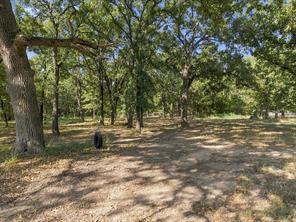 1525 Magnolia Lane - Photo 7