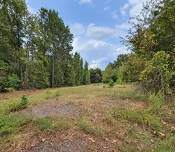 0 Ferguson Road - Photo 6
