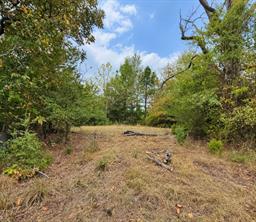 0 Ferguson Road - Photo 7