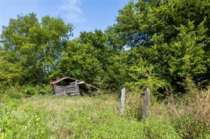 TBD 000 FM 1396 - Photo 15