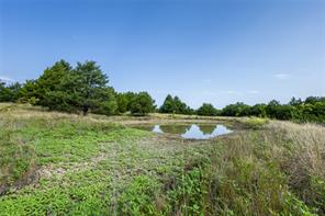 TBD 000 FM 1396 - Photo 17