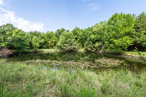 TBD 000 FM 1396 - Photo 19