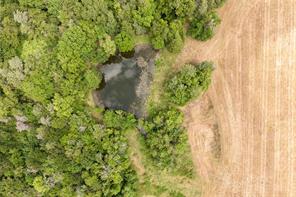 TBD 000 FM 1396 - Photo 7