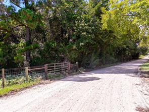 18064 County Road 443 - Photo 10