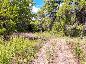 18064 County Road 443 - Photo 11
