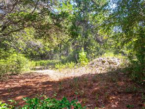 18064 County Road 443 - Photo 12