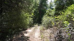18064 County Road 443 - Photo 13