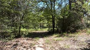 18064 County Road 443 - Photo 14