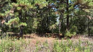 18064 County Road 443 - Photo 15