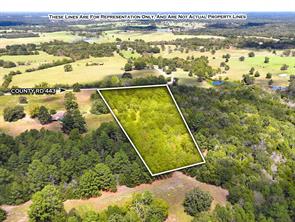 18064 County Road 443 - Photo 3