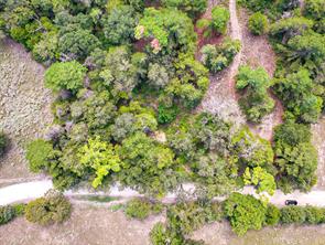18064 County Road 443 - Photo 5