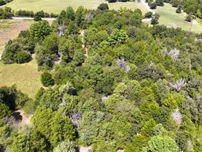 18064 County Road 443 - Photo 6