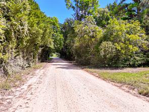 18064 County Road 443 - Photo 8
