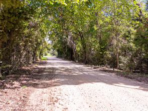 18064 County Road 443 - Photo 9