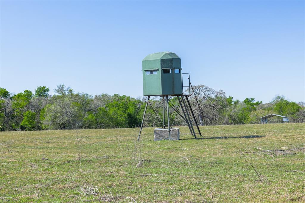 2313 E US Highway 79 - Photo 11