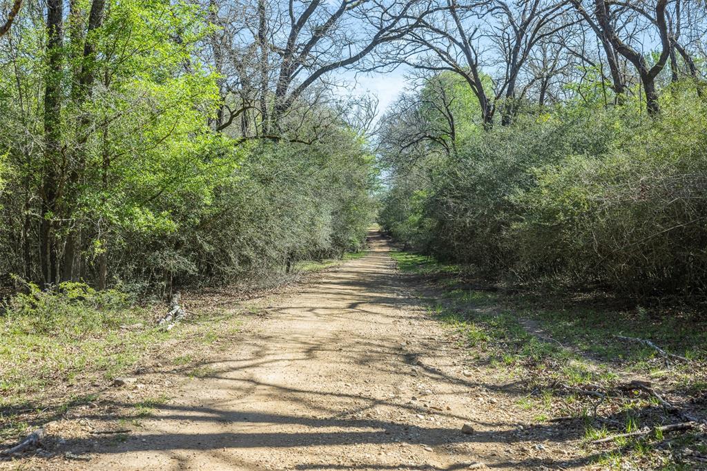 2313 E US Highway 79 - Photo 12