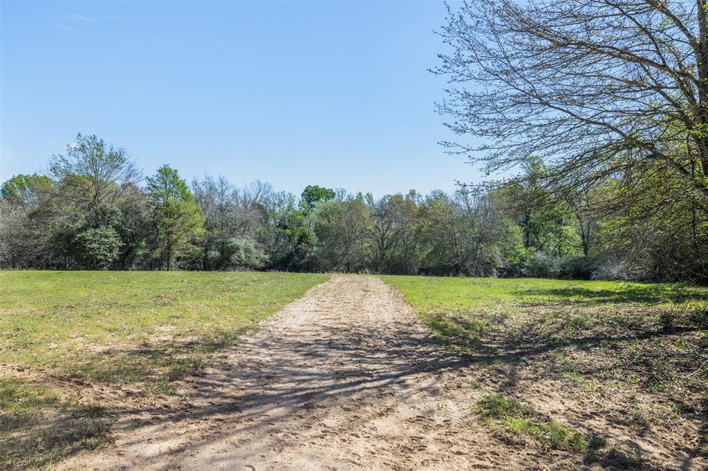 2313 E US Highway 79 - Photo 16