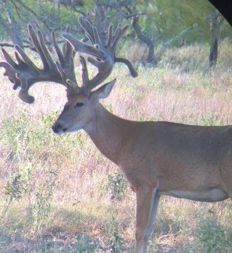 2313 E US Highway 79 - Photo 38