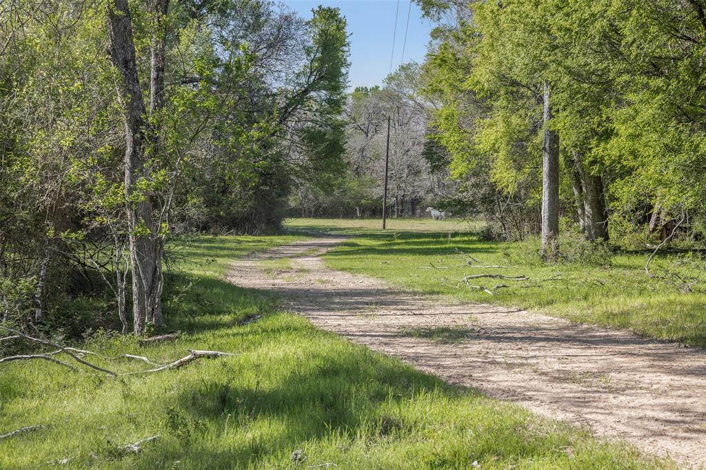 2313 E US Highway 79 - Photo 5