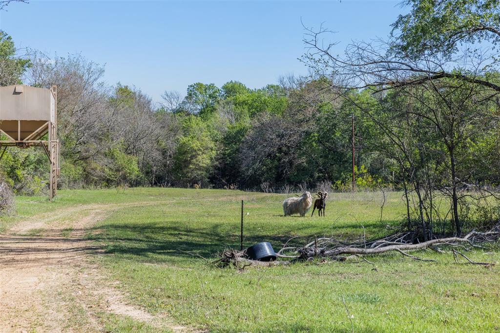 2313 E US Highway 79 - Photo 6