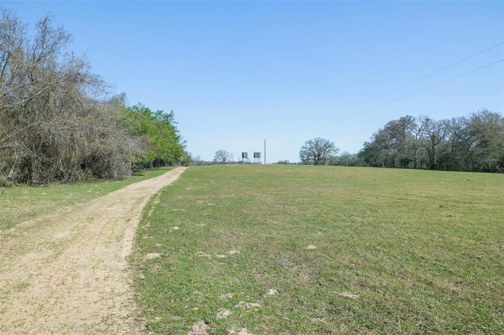 2313 E US Highway 79 - Photo 8