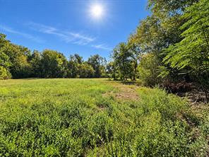 0000 Oak Avenue - Photo 4
