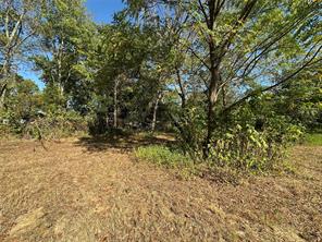 0000 Oak Avenue - Photo 6